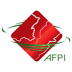 AFPI – Association Franco-Libanaise des Professionnels de l'Informatique